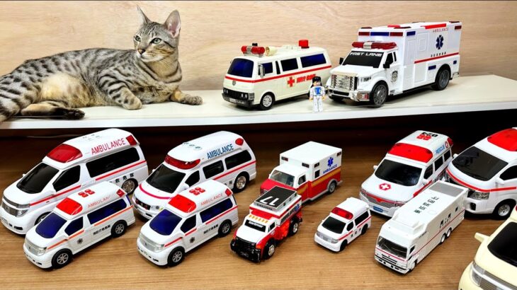 猫と救急車、パトカー、消防車、ゴミ収集車の働く車ミニカーを紹介。大集合して坂道を緊急走行ambulances, police cars, fire trucks, and garbage trucks