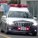 パトカー緊急走行【123】大阪府警　黒山警察署１号【Japanese Police car】