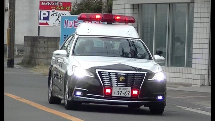 パトカー緊急走行【123】大阪府警　黒山警察署１号【Japanese Police car】