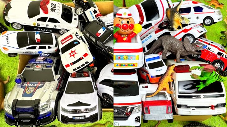 救急車とパトカーミニカーをチェック2恐竜の坂道を緊急走行する Ambulance police cars minicar and drive dinosaur slope.car toys