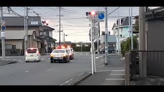 緊急走行をする静岡県警察の210系と200系クラウンパトカー
