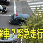 警察　警察官　遊撃車　緊急走行！！レア映像　事故現場に向かう遊撃車👮　#パトカー #警察 #緊急走行 #緊急出動 #新宿 #iphone14pro #事故　サイレンあり