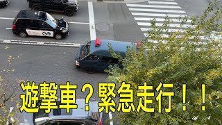 警察　警察官　遊撃車　緊急走行！！レア映像　事故現場に向かう遊撃車👮　#パトカー #警察 #緊急走行 #緊急出動 #新宿 #iphone14pro #事故　サイレンあり