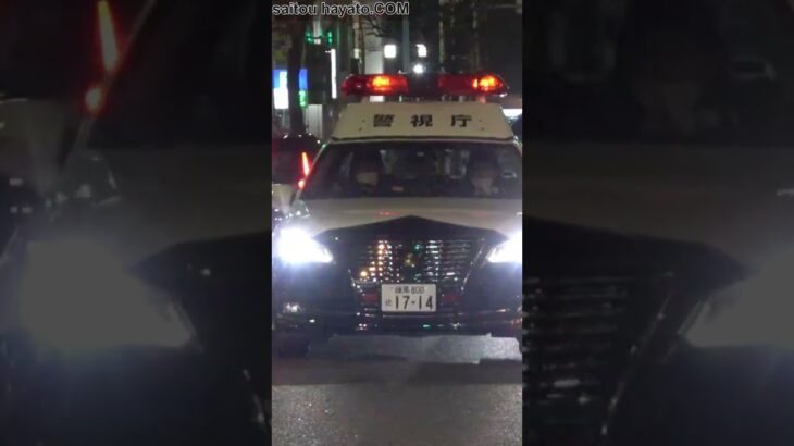 日本でトップクラスの激務地、歌舞伎町に緊急走行で現る新宿警察署のパトカー!!その直後に薬物事案の現場に遭遇!!#shorts