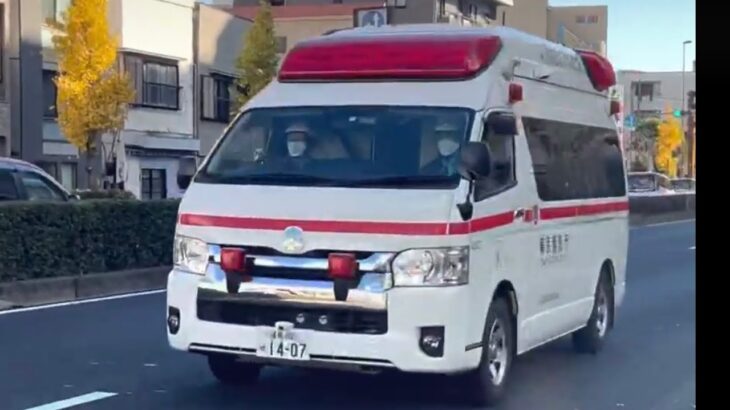 『イチョウの木と救急車』東京消防庁・救急車‼️ 緊急走行。