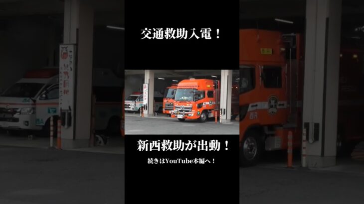 交通救助入電！新西救助出動！ #消防車 #緊急車両 #緊急走行 #姫路市消防局