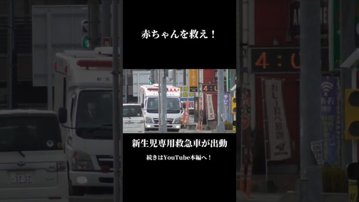 新生児専用救急車が出動 #救急車 #緊急走行 #緊急車両 #救急搬送 #ドクターカー #姫路市
