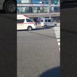 #日本 #救急車 緊急走行😬上野駅前に新しい北京ダック店を開いた😋