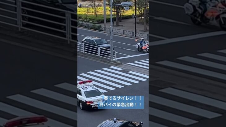 警察　白バイ　白バイの加速！！急加速！！その先にはパトカーも！！#警察 #警察24時 #警察官 #新宿 #police #パトロール #緊急出動 #警視庁#緊急走行 YAMAHA