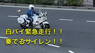 警察　白バイ　白バイの加速！！奏でるサイレン　その先にはパトカーも！！#警察 #警察24時 #警察官 #新宿 #police #パトロール #緊急出動 #警視庁#緊急走行 YAMAHA