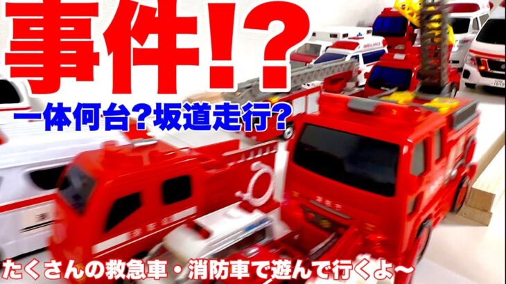 【救急車】【消防車】サイレン鳴らして坂道緊急走行！一体何台⁉️たくさんのはたらくくるま(ミニカー)が登場！