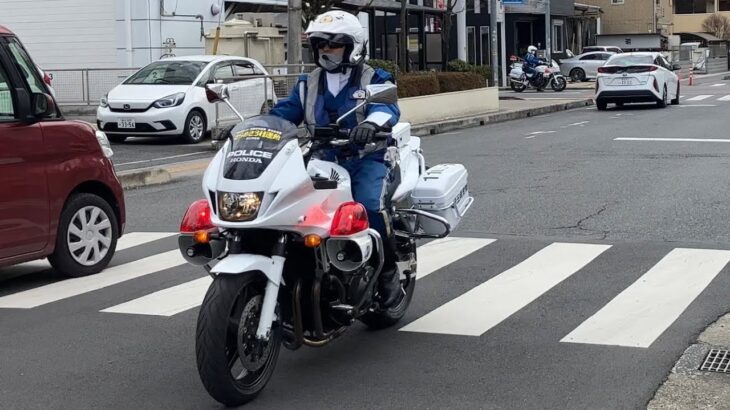 白バイ２台が偶然鉢合わせ⁉️迫力ある白バイ走行‼️埼玉県警交通機動隊‼️