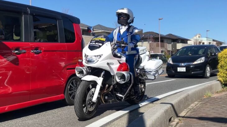 白バイ緊急走行開始‼️埼玉県警交通機動隊白バイ隊による華麗な緊急走行‼️