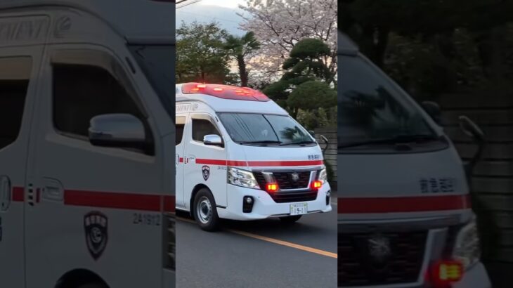 パラメディック救急車緊急走行‼️越谷市消防局救急越谷1号車‼️
