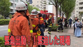 消防車　はしご車2台　レスキュー隊員　トライハート　ポンプ車　緊急出動！！火災通報ありで緊急！！！#新宿 #緊急出動 #緊急走行#ポンプ車#歌舞伎町 #トライハート#パトロール #消防車