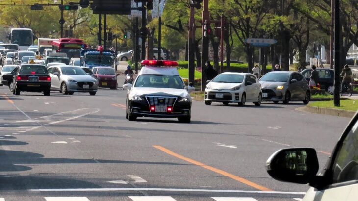 広島市内平和大通りを緊急走行する広島県警自ら隊パトカー 2023年3月31日　Japanese_Police_car