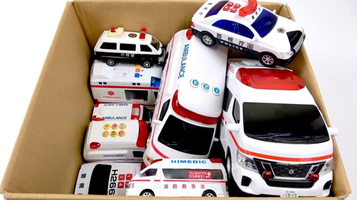 沢山の救急車とパトカーのミニカーを箱に集め緊急走行。