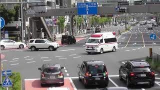 赤信号で一時停止し青山通りを緊急走行する救急車！