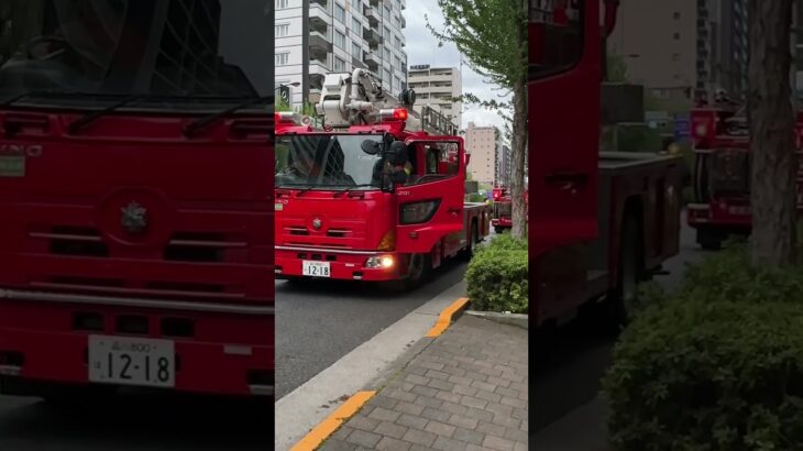 消防車　緊急出動！！はしご車　はしごの部分がいつもと違う、、なぜ？？#緊急出動 #緊急走行#新宿 #はしご車　かっこいい😂
