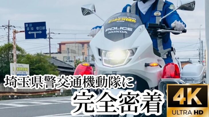 埼玉県警交通機動隊に完全密着‼️信号無視.一時停止.歩行者妨害などの違反を取り締まる交通機動隊白バイを朝から夕方まで密着してみた‼️