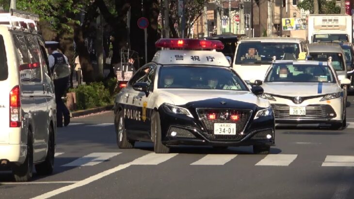 交通整理をする警察官の目の前で大胆に違法右折！警察官が一般車両を止めパトカーが緊急走行で追いかける見事な連携で違反者を検挙する取締りの瞬間！