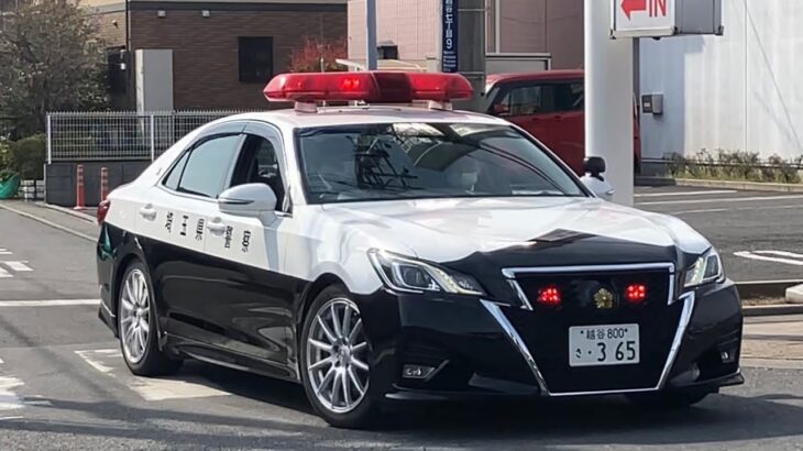 突如緊急走行⁉️埼玉県警越谷警察署の目の前で出向直後のパトカーがサイレン吹鳴‼️