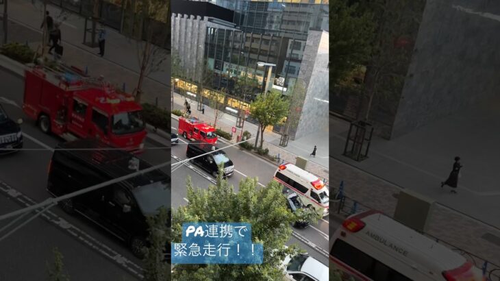 救急車　緊急出動　PA連携　久々に見るこの光景👀👀#パトロール #新宿 #緊急走行 #緊急出動#消防車#救急車#サイレン　通してください！！
