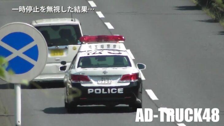 頻繁にパトカーが張ってるのに…一時停止しない地元民の軽自動車を緊急走行で検挙する東松山PC