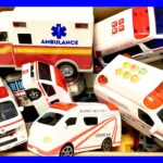 救急車のおもちゃが大集結しました〜！サイレン鳴らして緊急走行！