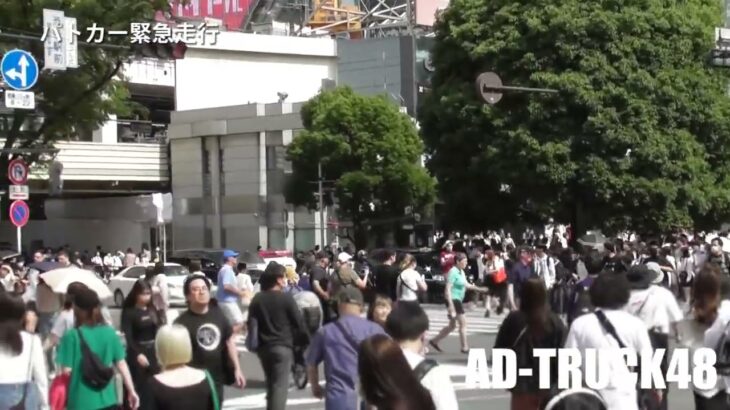 事件発生？容疑者確保し渋谷警察署へ向け、スクランブル交差点を歩行者にお願いしながら緊急走行するパトカー