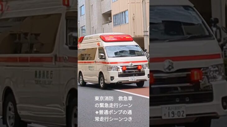 東京消防庁 救急車の緊急走行シーン！※普通ポンプ通常走行シーンのおまけ付き