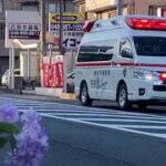 アジサイと救急車のコラボ‼️越谷市消防局救急大袋1緊急走行‼️