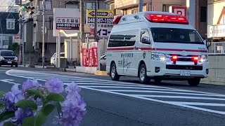 アジサイと救急車のコラボ‼️越谷市消防局救急大袋1緊急走行‼️