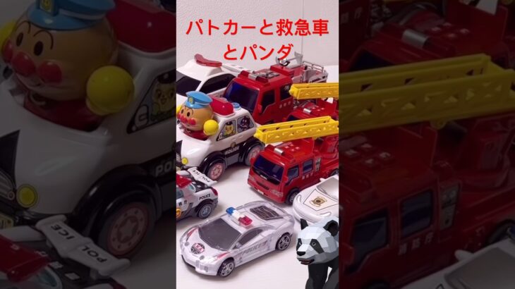 救急車やパトカーのミニカーが坂道を緊急走行する。パンダも走る🐼 #ambulance #policecar #救急車 #はたらくくるま #ミニカー