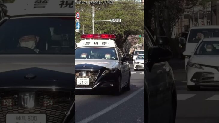 【緊急走行!!】違反を現認した警察官が一般車を止めパトカーが出撃!!連携プレーで違反者を検挙する取締りの一部始終!!#shorts