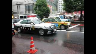 【緊急走行】警視庁　渋谷警察署所轄パトカー　スクランブル交差点を緊急走行！