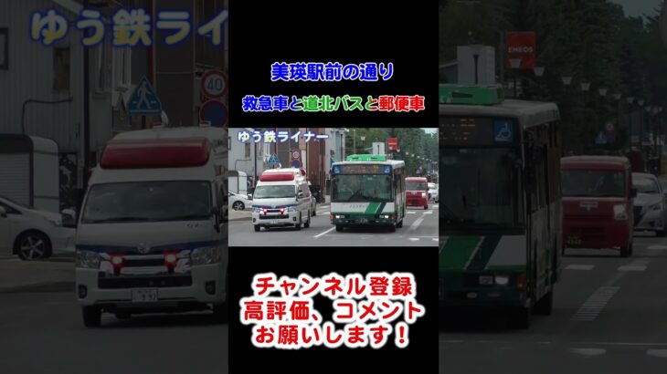 【珍しい車両】美瑛の救急車は赤色ではなく青色の救急車が道北バスと並ぶ