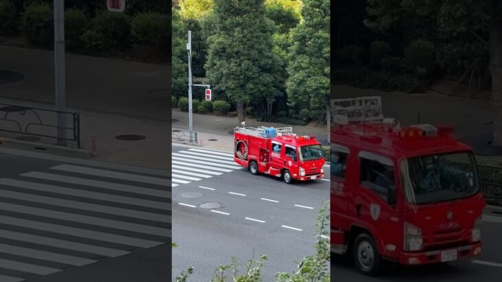 消防車　PA連携　救護に向かうポンプ車　#パトロール #警察24時 #警察 #警察官 #緊急出動 #新宿 #緊急出動 #緊急走行