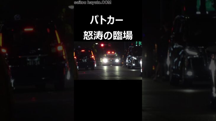 【緊急走行】これが新宿！！！自動車警ら隊の応援要請を受けパトカー３台が怒涛の臨場！！！#shorts