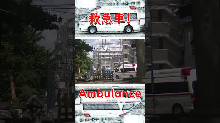東京消防庁　救急車！