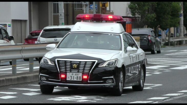 パトカー緊急走行【146】大阪府警・堺警察署４号車【Japanese Police car】