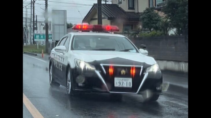 緊急走行！サイレン停止した栃木県警の210系クラウンパトカー