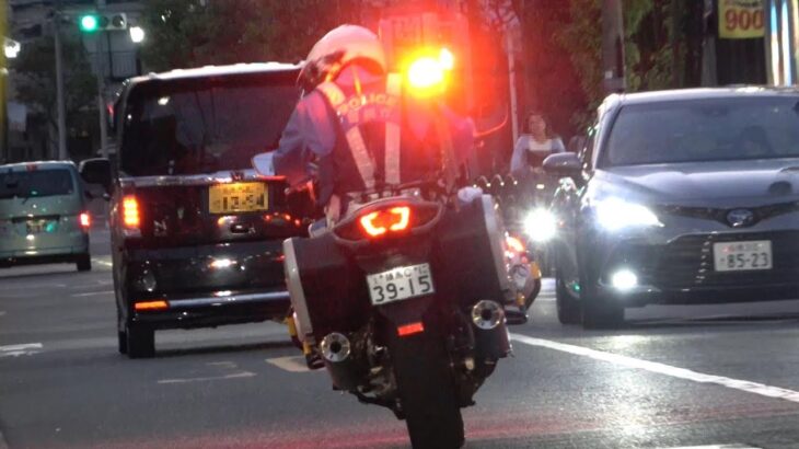 渡りたい歩行者が居るのに白バイの目の前で横断歩道をノーブレーキで走り抜けた軽自動車の結末がこれ！Japanese Motorcycle police