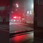 八王子市にサイレンが低い音の救急車🚑️が緊急走行していました。