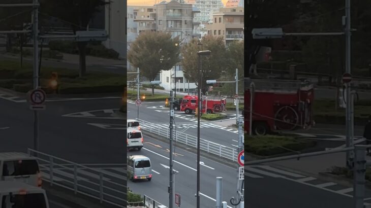 消防車　緊急車両　緊急出動！！#パトロール #火事#新宿 #救急車 #ポンプ車#緊急走行#