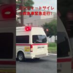 コンフォートサイレン救急車緊急走行！#川崎市消防局 #救急車
