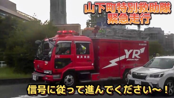 「信号に従って進んでください！」横浜市消防局 山下町特別救助隊 緊急走行