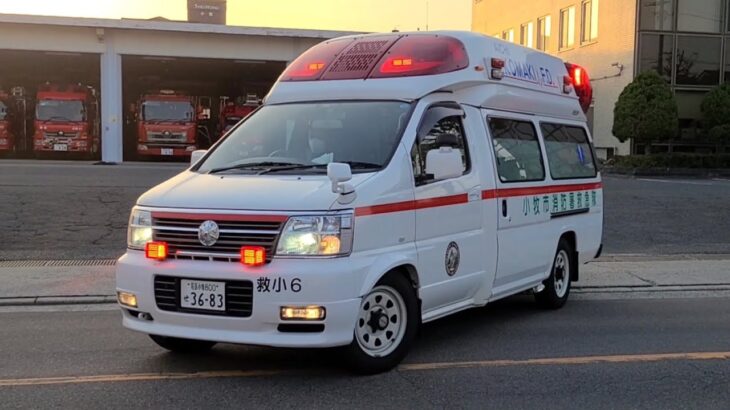 数を減らしつつある2代目パラメディックが緊急走行！#緊急走行 #救急車 #小牧市消防署