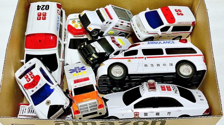 おもちゃの『救急車🚑』『パトカー🚓』がサイレン鳴らして緊急走行 5️⃣0️⃣