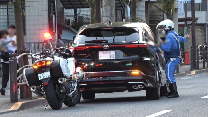 【白バイ 歩行者妨害 取締り】歩行者が居るのに停止線をノーブレーキで譲る気皆無の80ハリアーの結末がこれ…!Japanese Motorcycle police
